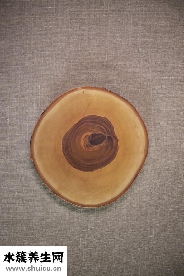 鹿茸太硬怎么切片