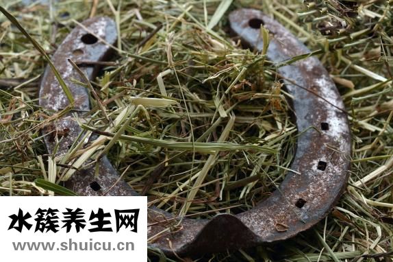 馬蹄糕的怎么切好看