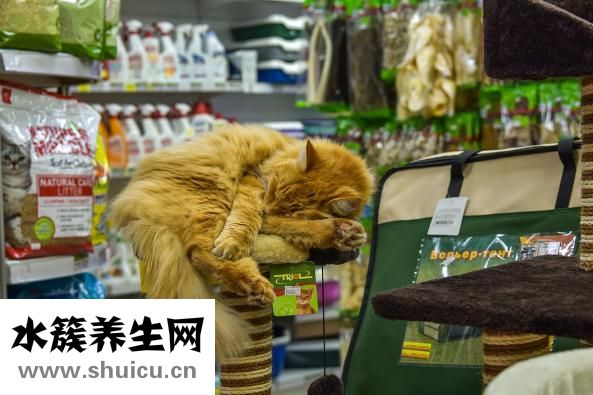 下鋪床怎么有異味