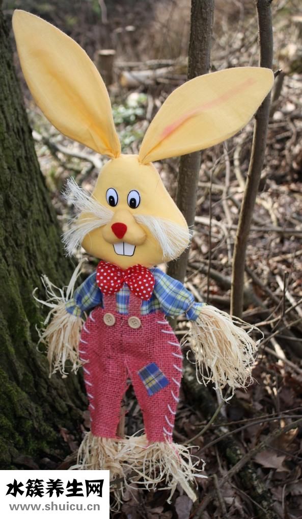 兔子脫毛鮮怎么治