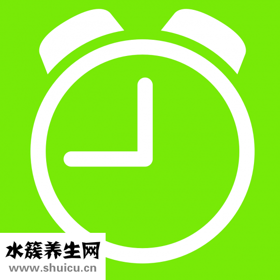 雞肉煮酒要怎么煮