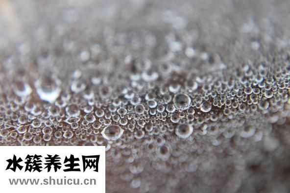 去眼袋精油怎么搭配