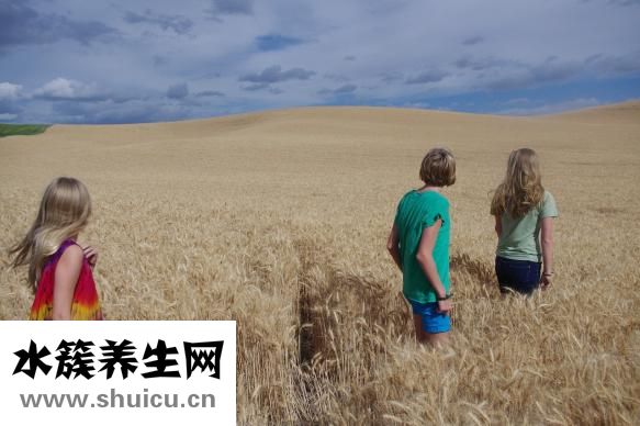 青少年缺鐵怎么補