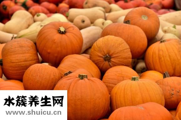 馬不吃草料怎么辦