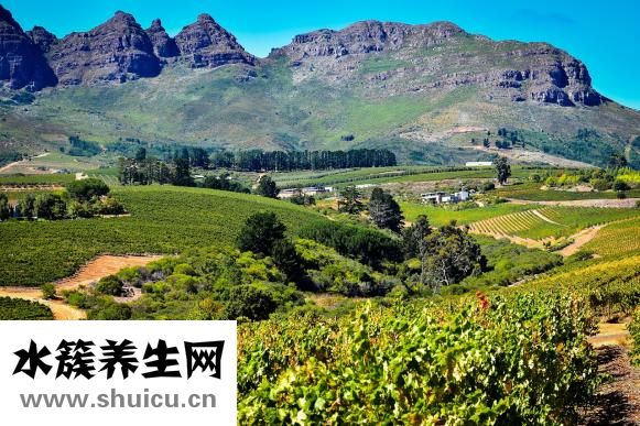 勒貝拉唑怎么吃