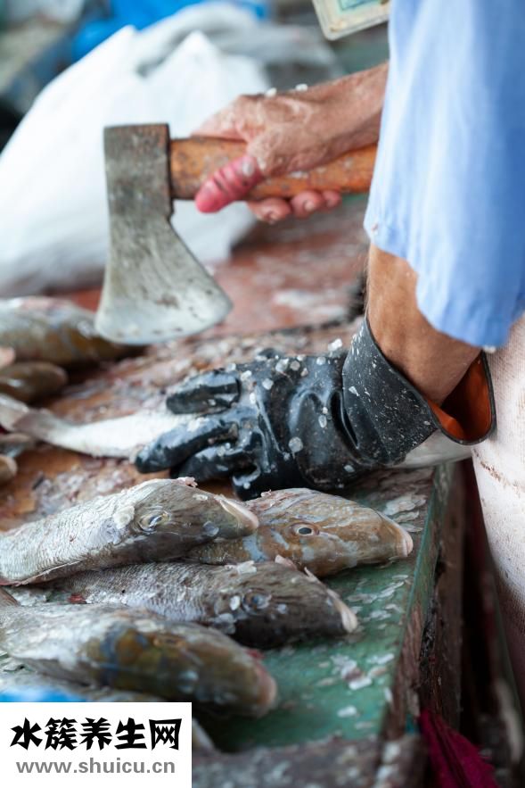 鱷龜怎么養(yǎng)長(zhǎng)得快