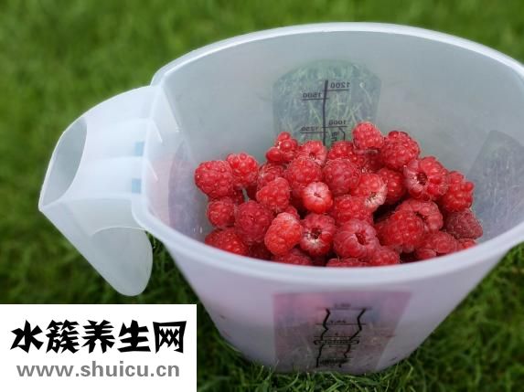 黃桃硬的怎么變軟