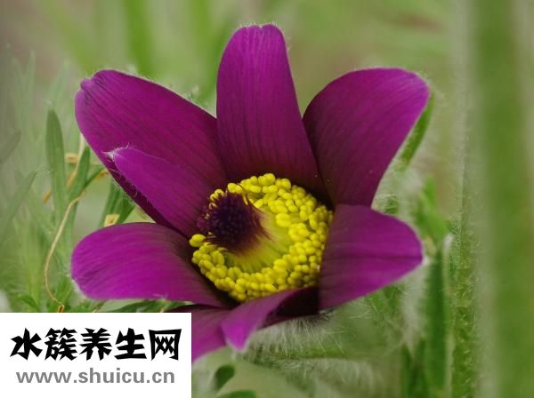 鼻梁骨寬大怎么辦