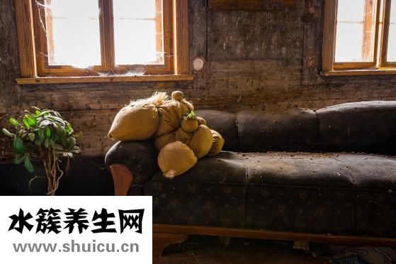 產后想喝雞湯怎么做