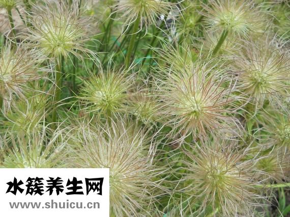 京東假貨怎么辦