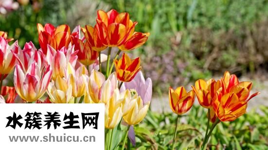 骨一舒怎么加盟