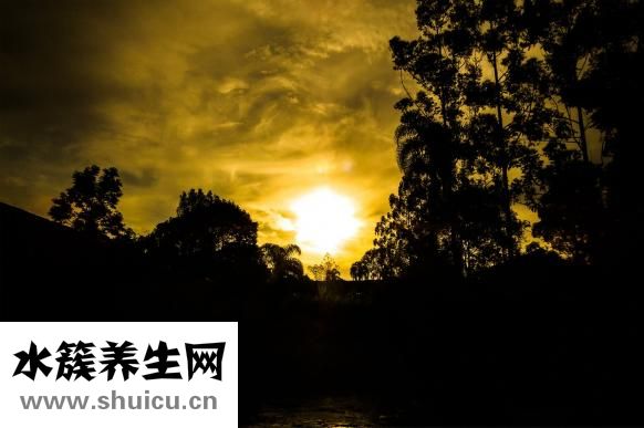 門牙有縫自己怎么弄