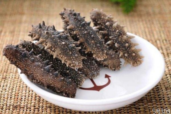 海參的功效與作用及禁忌，海參的功效與作用及禁忌人群專家說