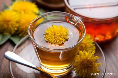 菊花茶三種人不宜喝，菊花茶三種人不宜喝香菜根可以治病嗎