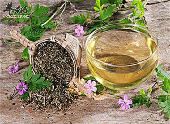 清熱解毒去火最快的藥，清熱解毒去火最快的藥中藥