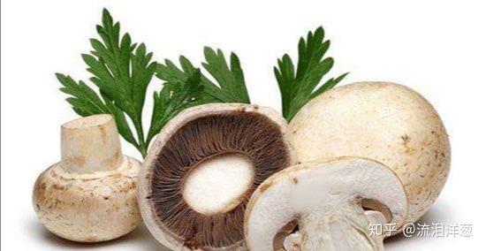 神經衰弱多夢吃什么藥調理（神經衰弱吃什么藥調理）