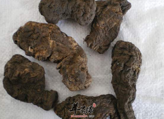 熟地黃的功效與作用吃法大全（熟地黃的功效與作用是什么）