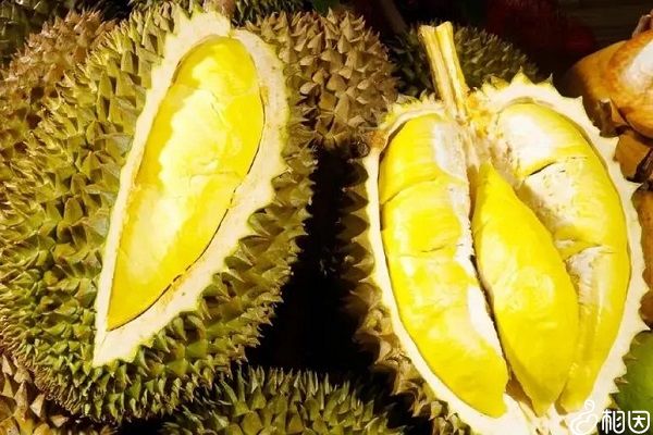 懷孕1一3月禁吃的十大水果_孕期飲食禁忌_小心流產（懷孕1一3月禁吃的十大水果）