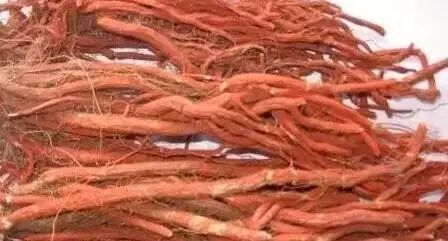 丹參配什么通血管好（丹參配什么通血管）