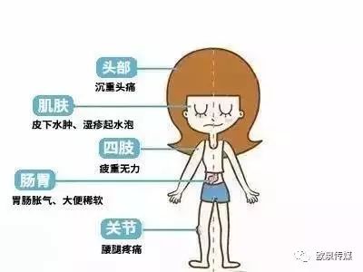 體內有濕氣的13種表現中醫說:濕氣不除后患無窮（體內有濕氣的13種表現）