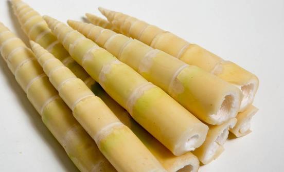 竹筍的副作用和禁忌（竹筍的功效和作用）