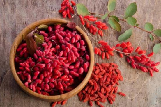 仙靈脾（仙靈脾吃多久能提高性功能嗎）