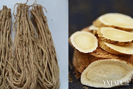 黃芪水作用（黃芪水的功效與禁忌）