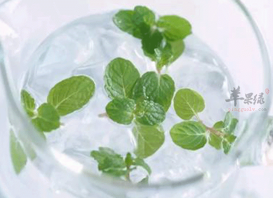 薄荷葉泡水喝的功效(薄荷泡水喝竟有6個(gè)害處)