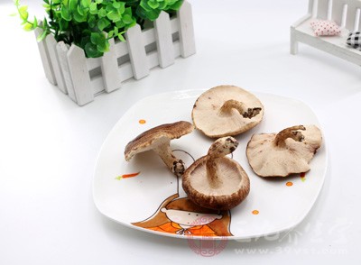 香菇的功效與作用禁忌胃潰瘍能吃嗎（香菇的功效與作用禁忌）