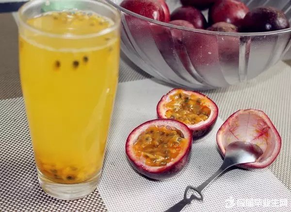 百香果蜂蜜水功效孕婦（百香果蜂蜜水功效）