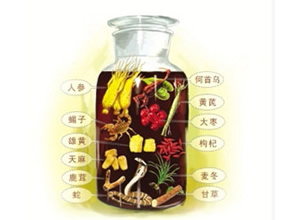 養生藥酒配方大全泡酒之家（經典養生藥酒配方大全）