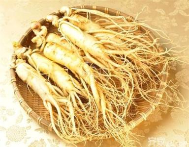 女人長期喝人參泡水好嗎（鮮人參的功效和作用及食用方法）