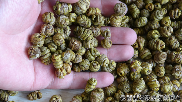 鐵皮石斛的正確使用方法和用量（鐵皮石斛的正確使用方法）