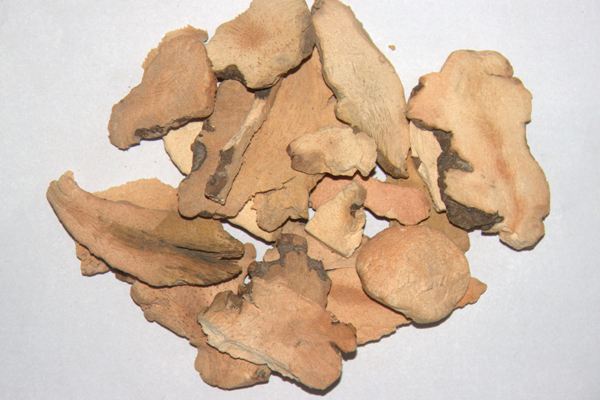 土茯苓的功效和作用及禁忌（土茯苓的功效和作用）