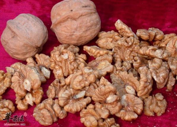 腎陽虛最佳10食物（女人腎陽虛最佳10食物）