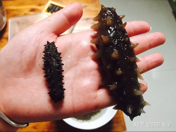 海參怎么泡發(fā)干海參正確方法視頻（海參怎么泡發(fā)）