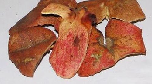 石榴的作用與功效（石榴皮的作用與功效）