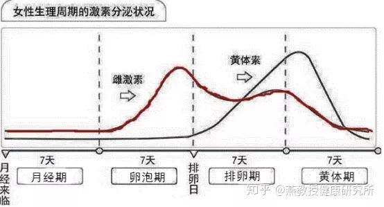 女性吃一個(gè)月雌激素變化（女性吃一個(gè)月雌激素變化有哪些）
