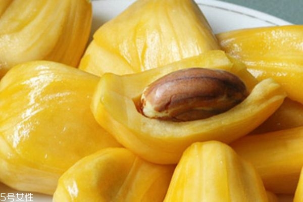 菠蘿蜜的功效與禁忌（菠蘿蜜是清火還是上火）