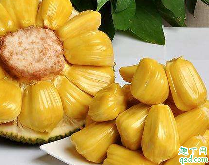 菠蘿蜜一次可以吃幾顆（孕婦吃菠蘿蜜一次可以吃幾顆）