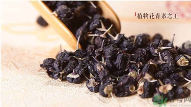 野生黑枸杞正確的泡水方法（野生黑枸杞泡水喝有什么作用）