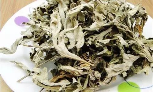 艾草的功效與作用艾草泡腳的好處（艾草泡腳功效與作用點）