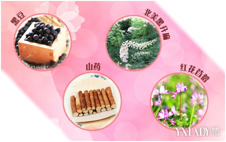 女性常吃山藥的危害(山藥對男性性功能有什么幫助)