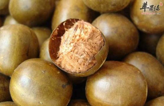 羅漢果一直喝有副作用嗎（羅漢果如果長期飲用會導致什么）