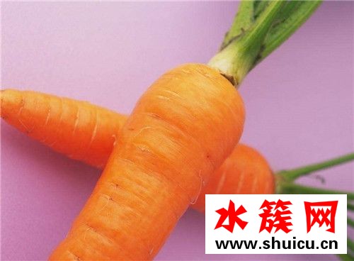 春季養(yǎng)生必吃十種食物