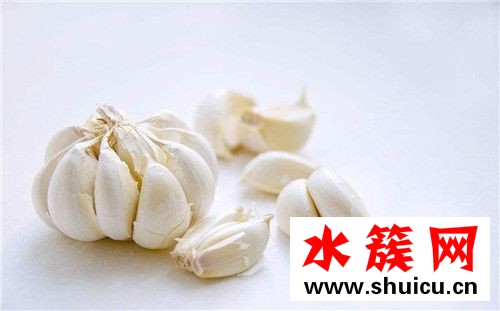 春季養(yǎng)生必吃十種食物