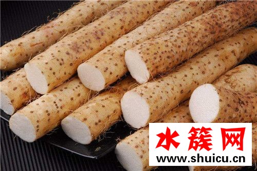 春季養(yǎng)生必吃十種食物