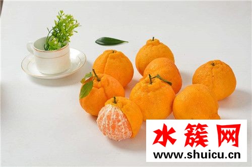 春季養(yǎng)生必吃十種食物