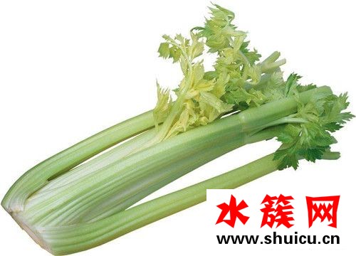 春季養(yǎng)生必吃十種食物