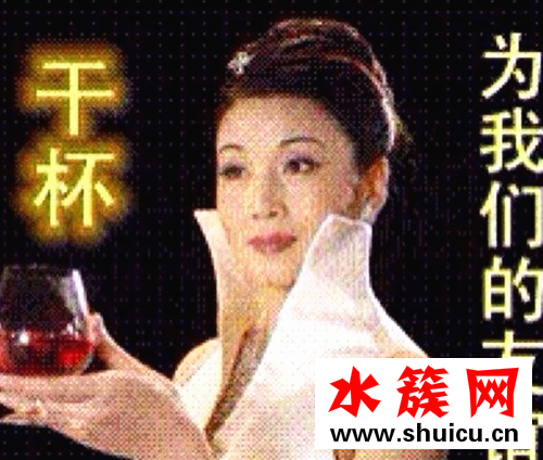 塑料花姐妹情是什么梗